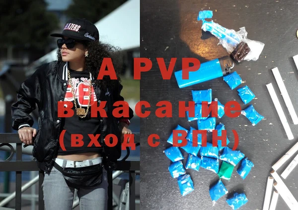 стафф Володарск