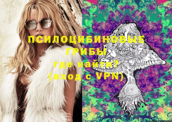 мдпв Бугульма