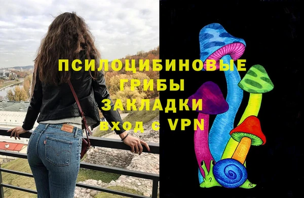 mdma Бородино