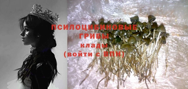 mdma Бородино