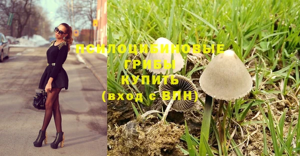 мдпв Бугульма