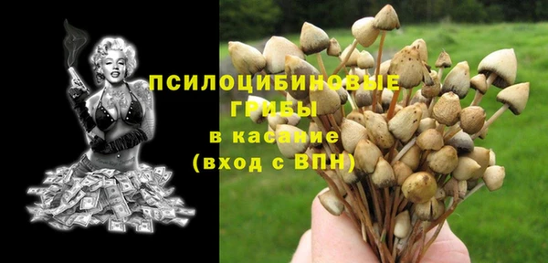 стафф Володарск