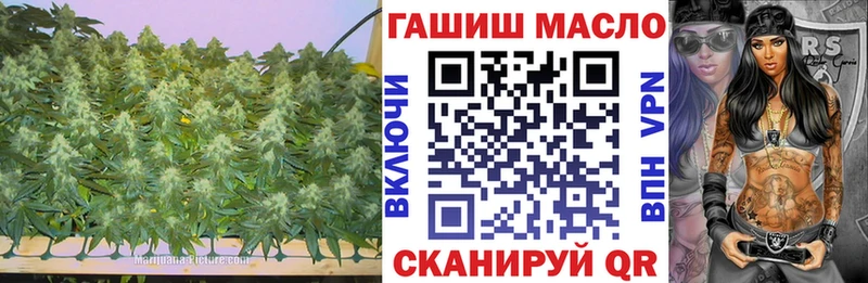 сколько стоит  Дмитриев  ТГК гашишное масло 