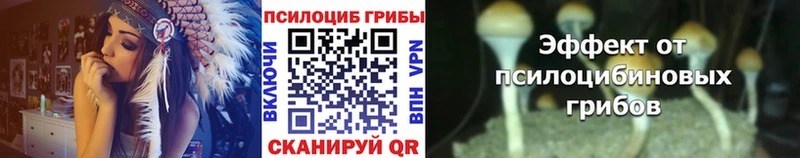 нарко площадка наркотические препараты  как найти   Дмитриев  Галлюциногенные грибы мицелий 